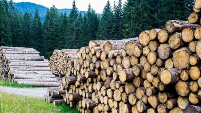 Рациональное использование древесины при строительстве