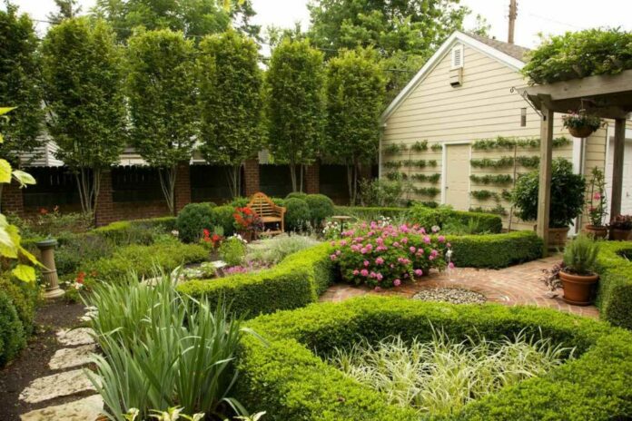 Секреты создания уютного и полезного сада на вашем участке