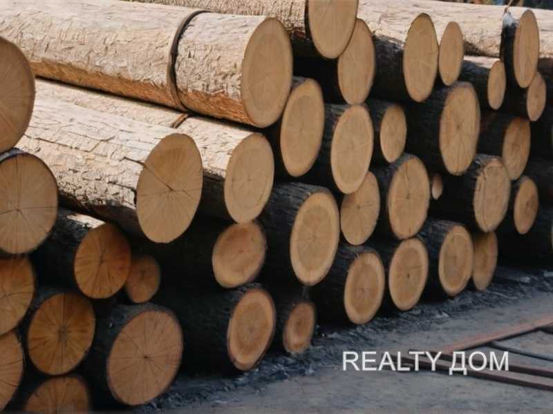Выбор абразивных материалов для акцентирования годичных колец