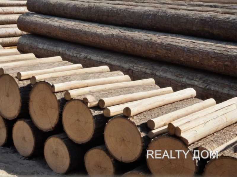 Совместимость древесины с лакокрасочными покрытиями