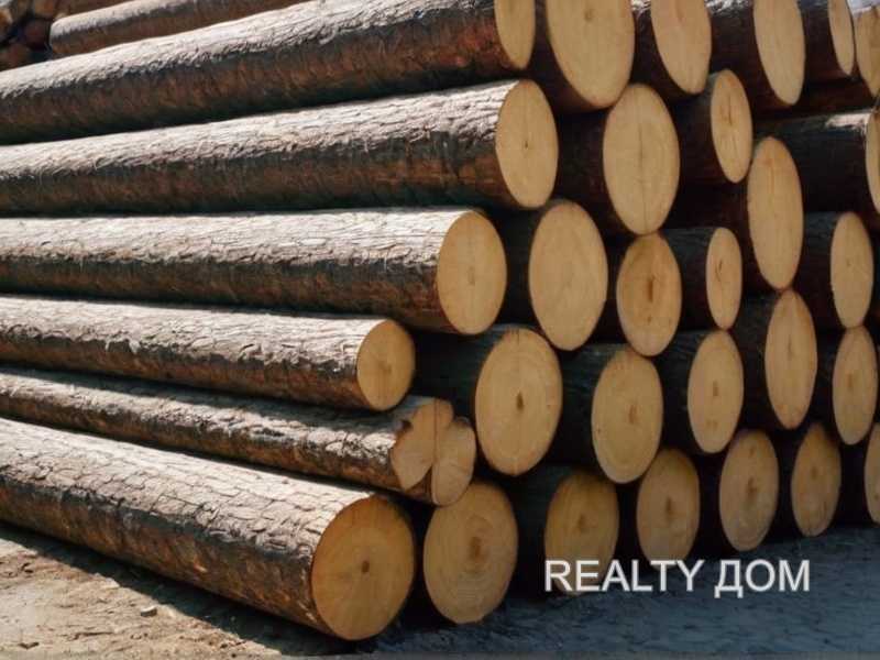 Регулярная очистка и защита дерева