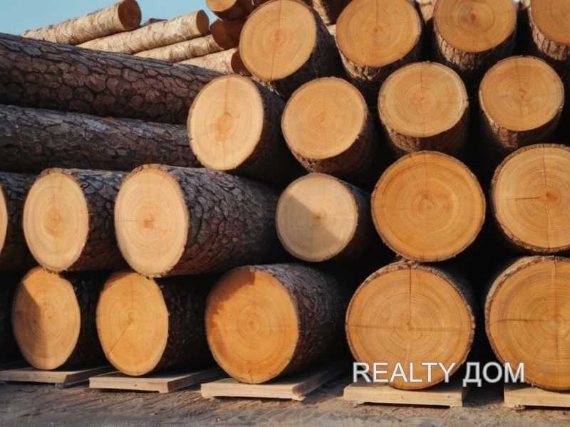 Определяем срок службы скамейки и требования к древесине