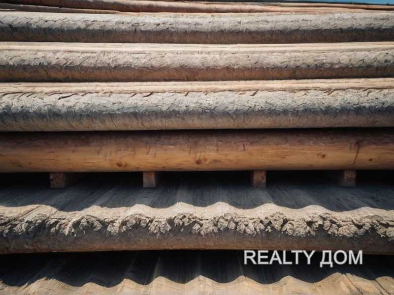 Плотность древесины и её влияние